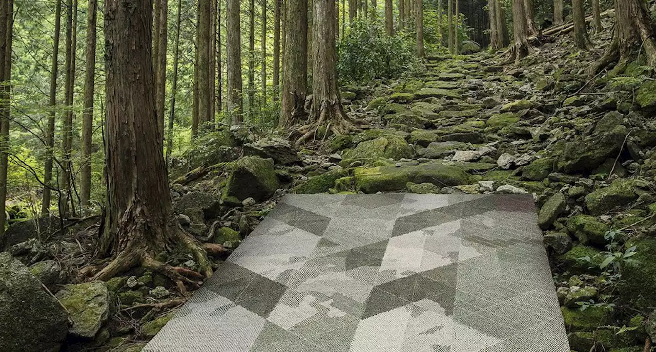Quirky, curvy area rugs are emerging as the home decor trend of the moment