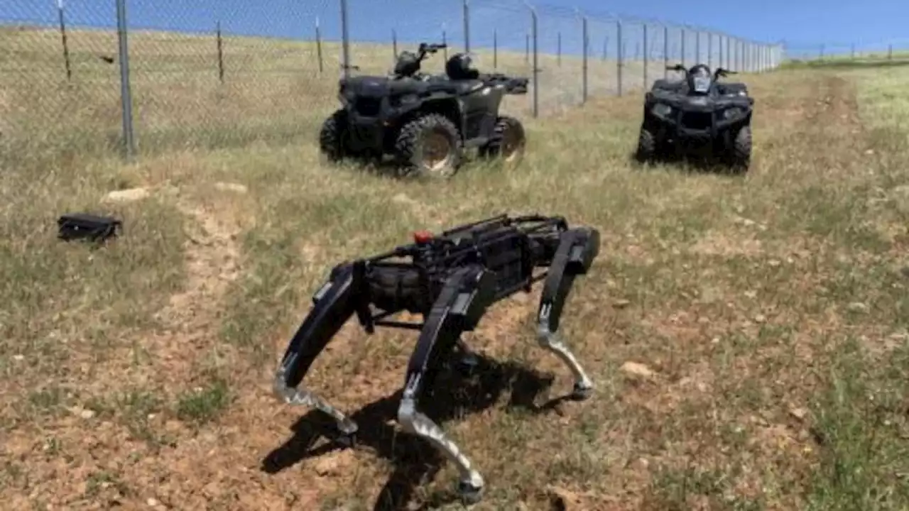 The US is testing robot patrol dogs on its borders. Should we worry?