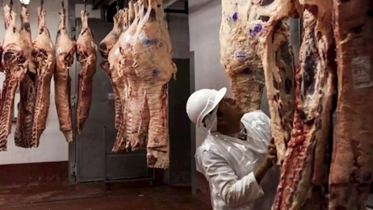 La carne uruguaya entró en Arabia Saudita y este fue el resultado