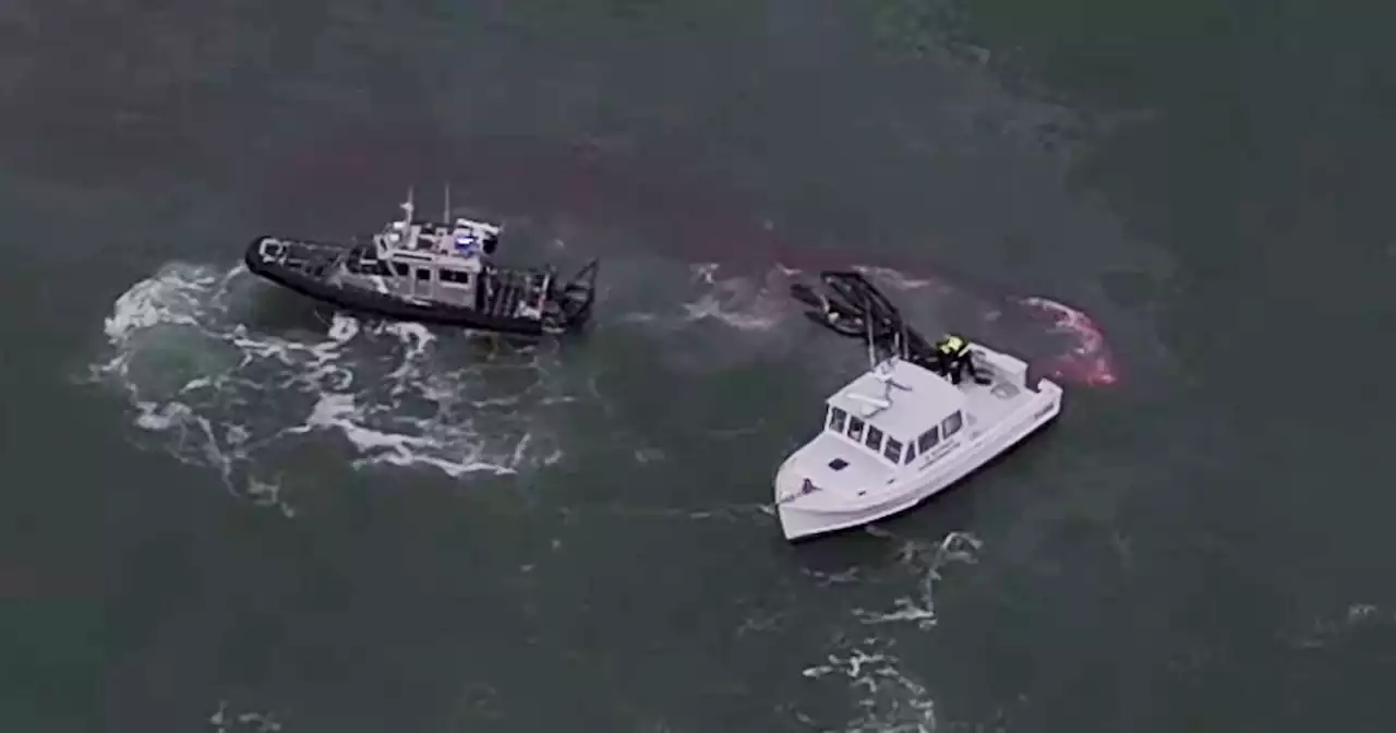 Fishermen from boat that sank pulled from cold Massachusetts water thanks to sharp-eyed 911 caller