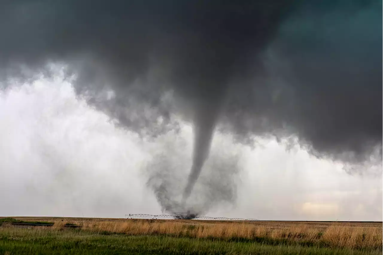 Alabama tornado storm leaves 1 dead, 8 injured