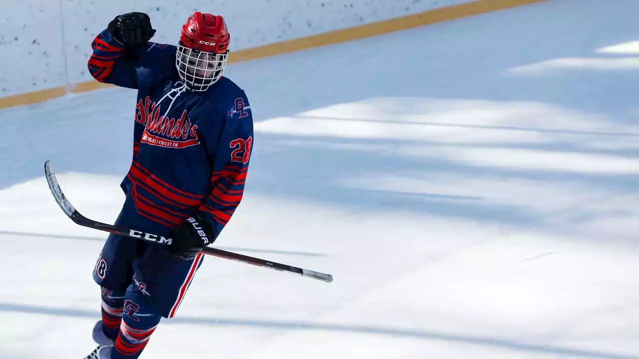 Who are N.J.’s top HS hockey sophomores? Our picks, your votes