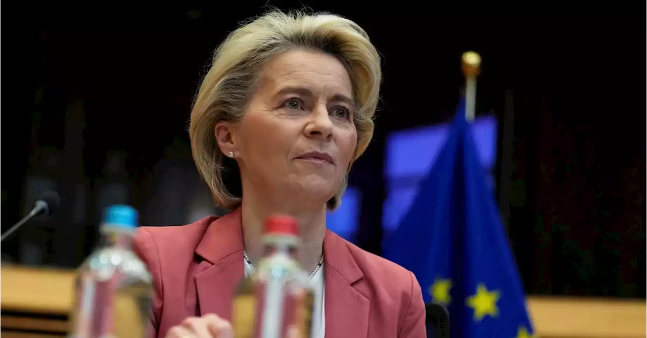 EU has 'robust' Russia sanctions ready if needed over Ukraine - von der Leyen