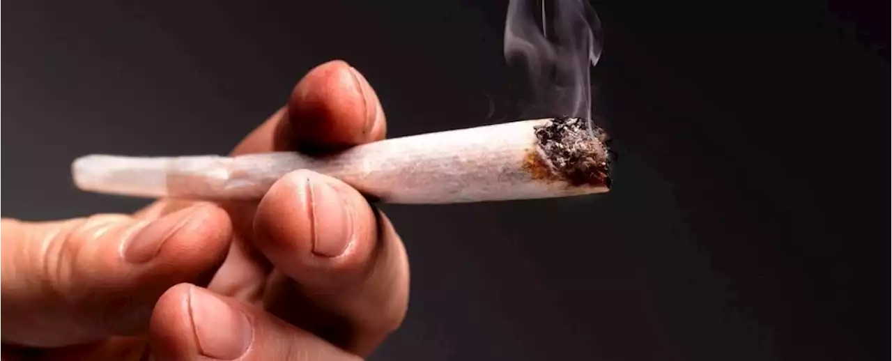 Long-Term Cannabis Smoking Appears to Alter Lung Function, But Not Like Tobacco