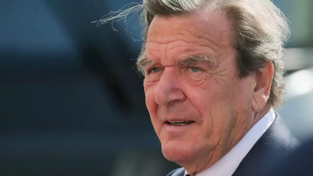 Gerhard Schröder und Gazprom: Näher am Kreml geht kaum