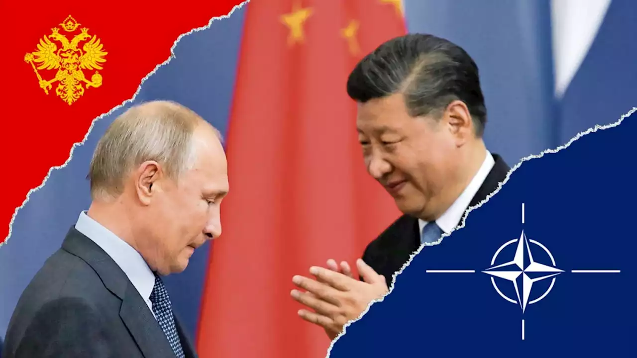 Russland und China: Freunde, auf Vorteil bedacht