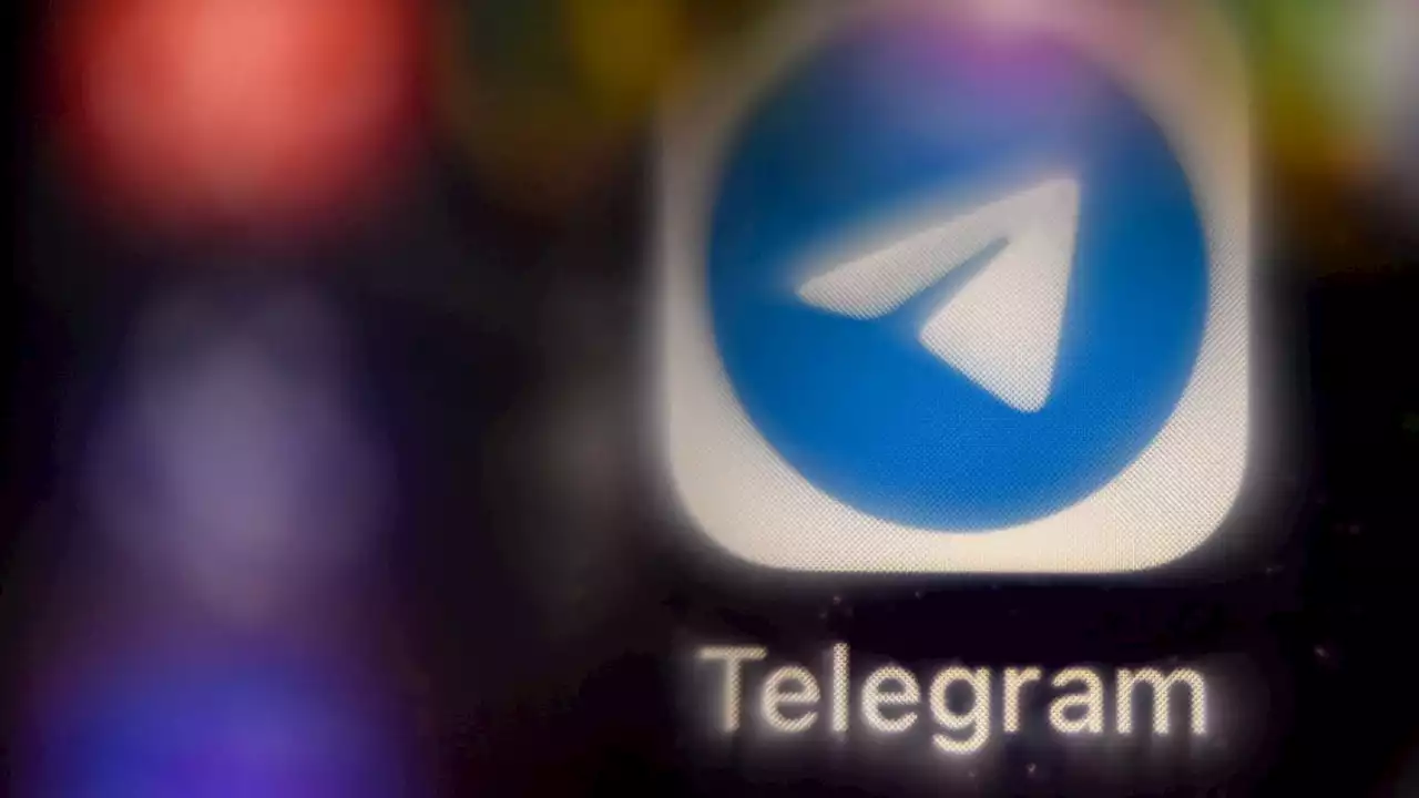 Soziale Netzwerke: Buschmann will Telegram weiter verfolgen