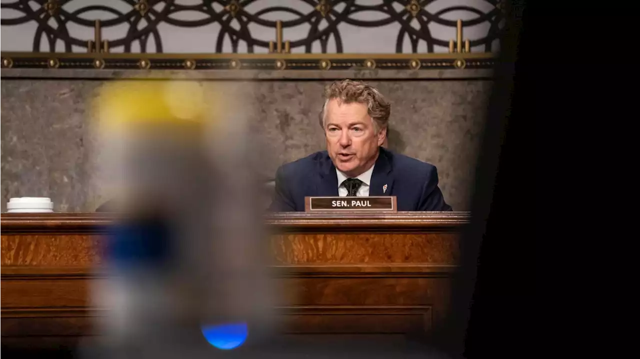 Obsessed Rand Paul Threatens to Investigate Fauci if GOP Takes Senate