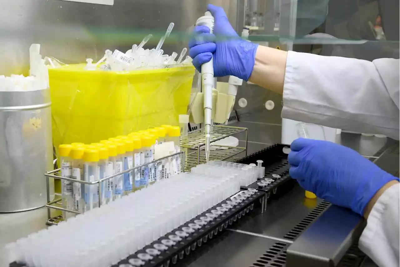 Does shifting COVID-19 strategy mean PCR tests have had their day?