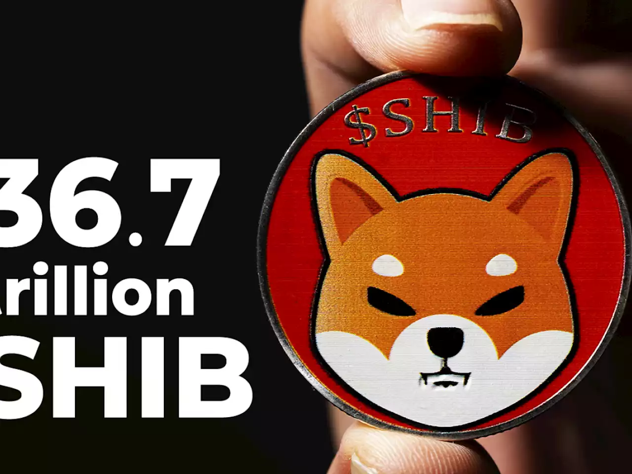 36.7 Trillion SHIB Whale Expands Portfolio, Here's What He Acquires