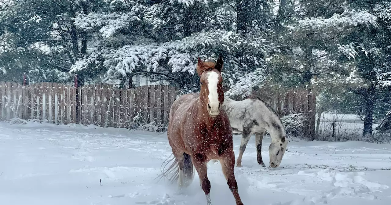 PHOTOS: Northeast Ohio makes the most of winter storm