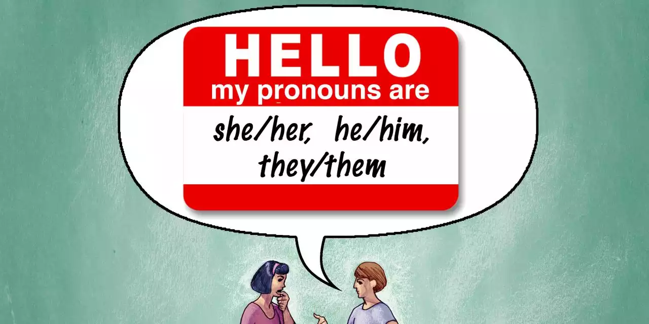 Opinion | When Asked ‘What Are Your Pronouns,’ Don’t Answer