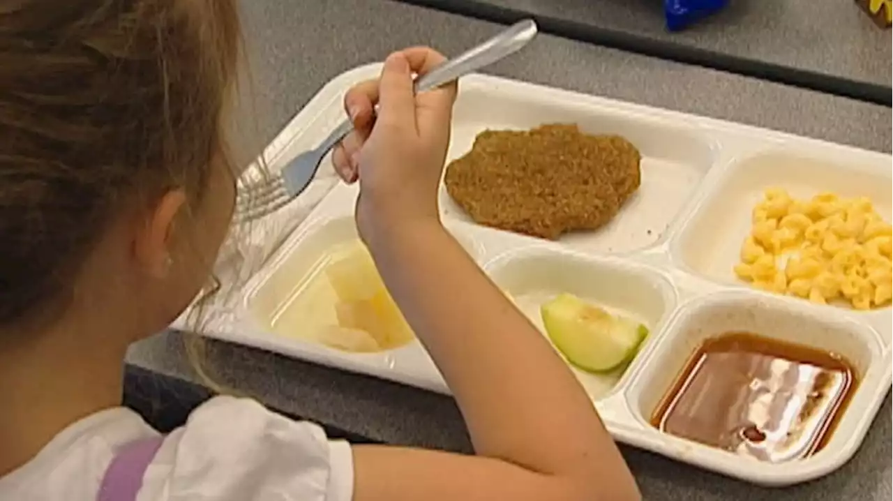 USDA to update school meal nutrition standards