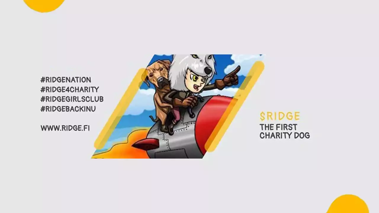 A Team of Experienced Crypto Enthusiasts Launch RIDGE Charity Token – Press release Bitcoin News