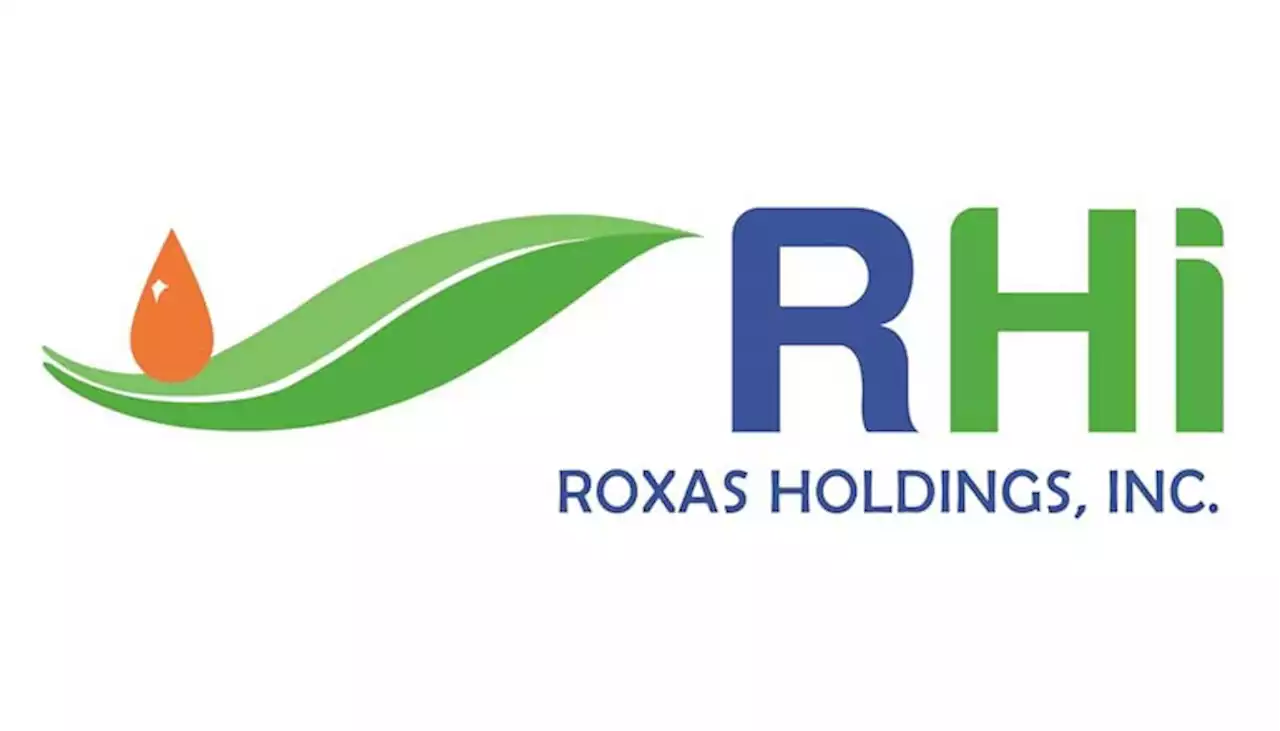 Roxas Holdings cuts Q1 net loss - BusinessWorld Online