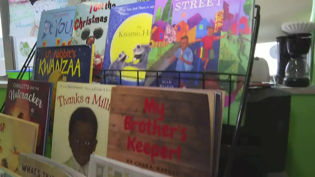 2 South Side Women Seek To Broaden Minds By Increasing Availability Of Black-Focused Books