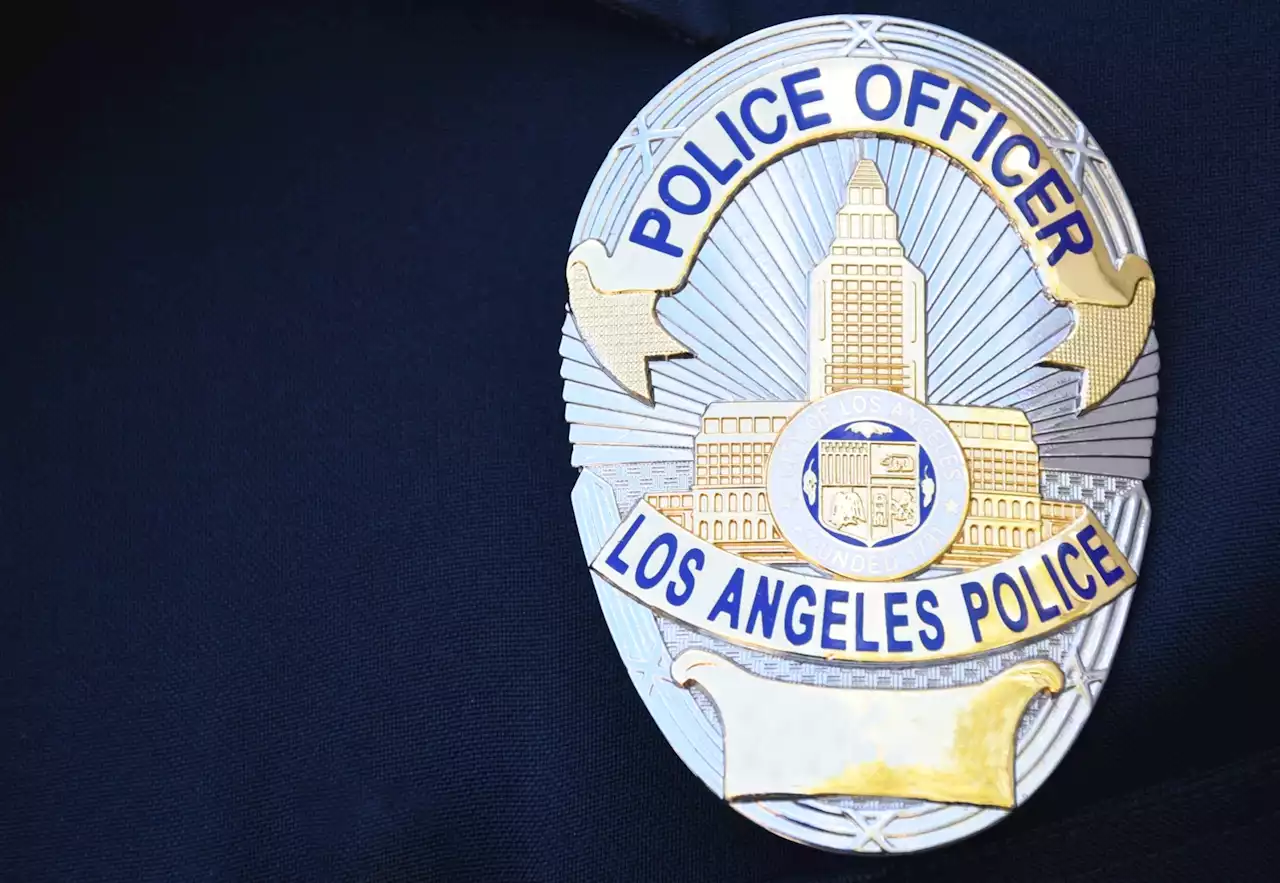 LAPD Investigating Del Rey Stabbing; One Wounded