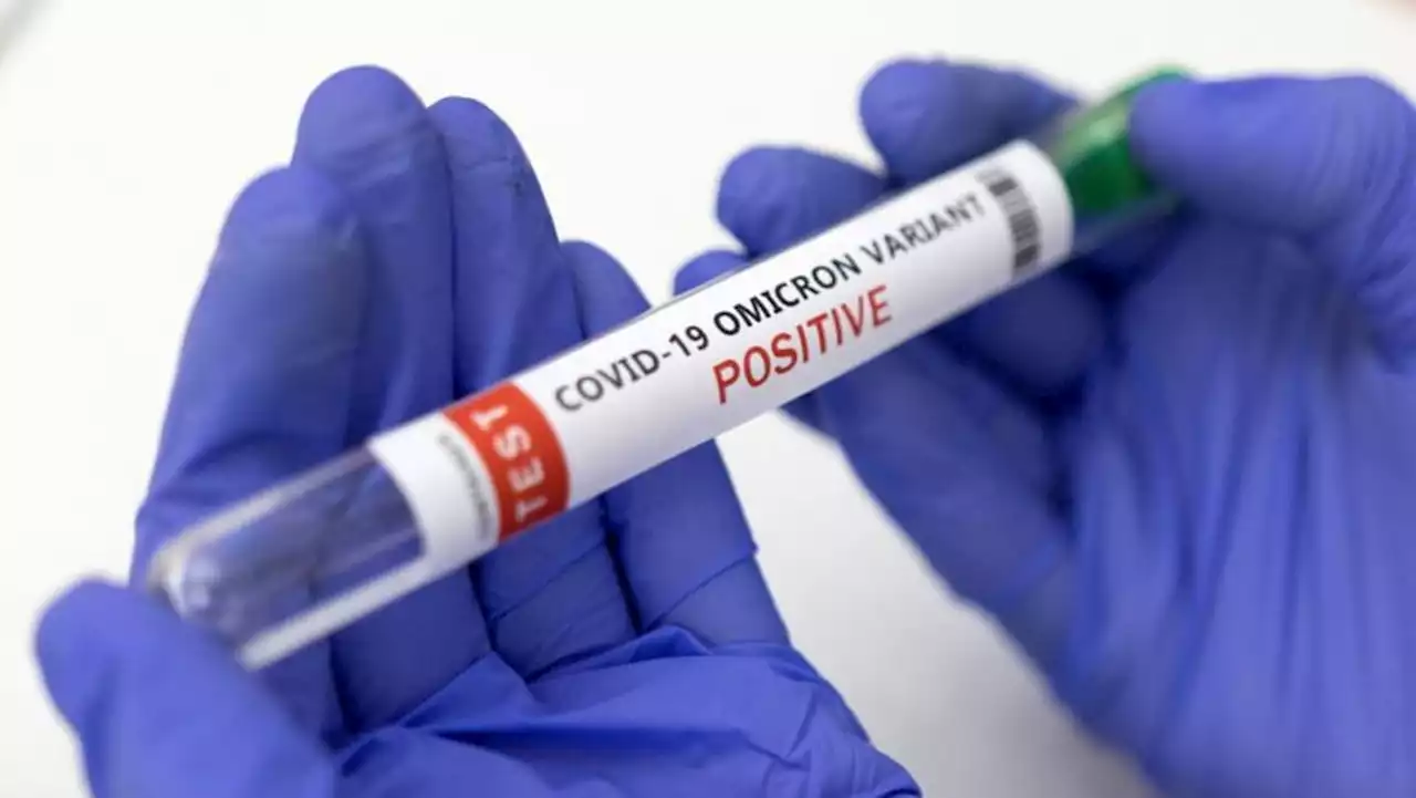 Omicron-specific booster may not be needed, US monkey study finds