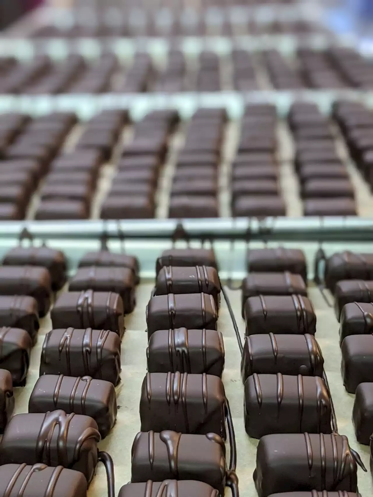 The Godfather Behind the Bay Area’s Plant-Based Chocolate Scene