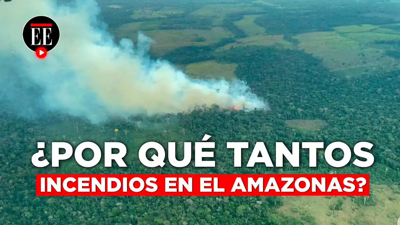 El riesgo de los incendios forestales en la Amazonía colombiana