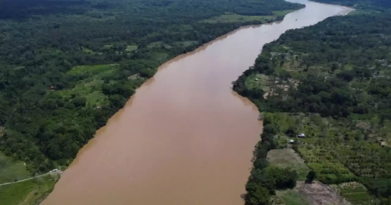 Record heat, forest fires in Colombia's Amazon in January