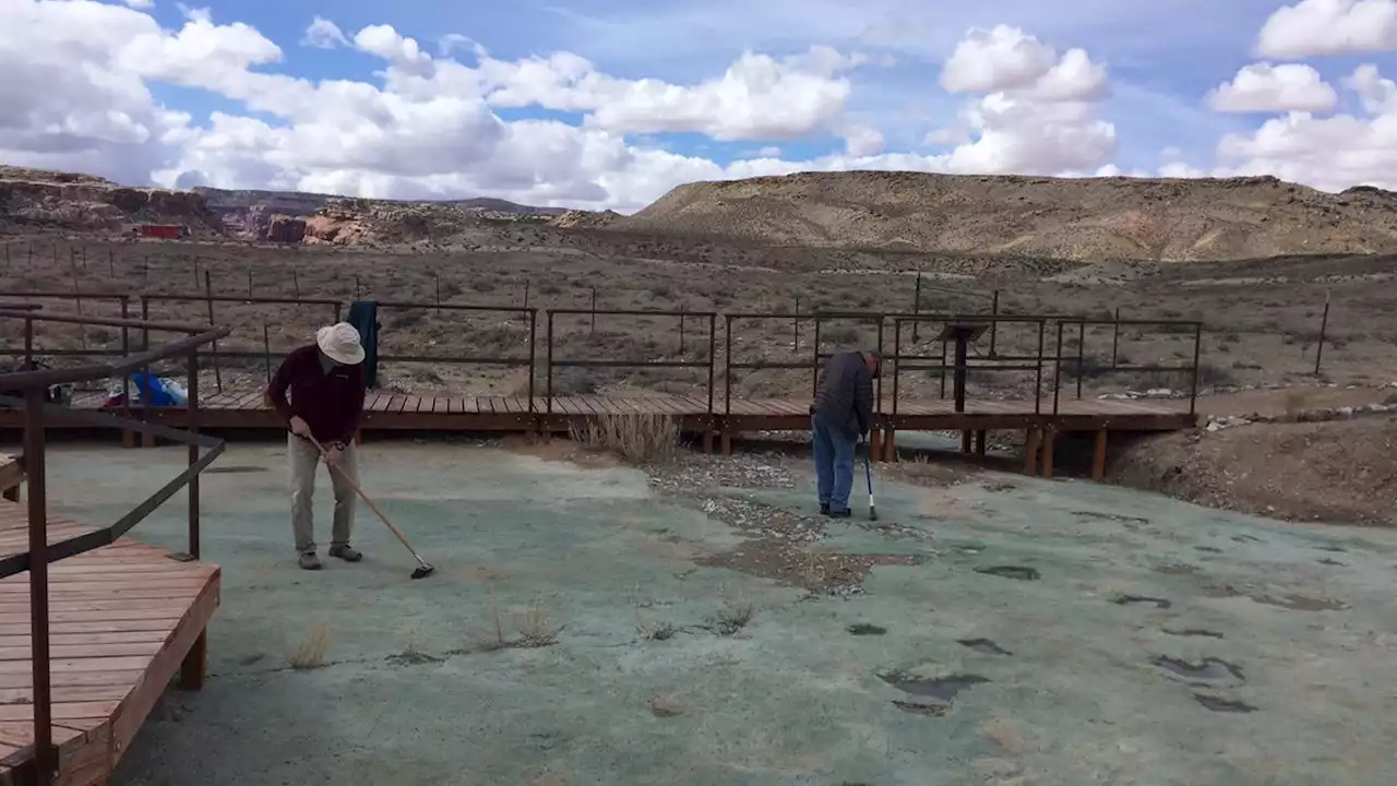 Utah Officials Drove Over Important Fossil Site With a Backhoe, Paleontologists Say