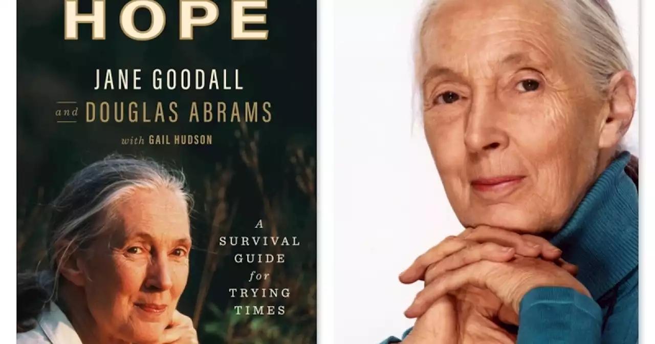 Jane Goodall on surviving trying times