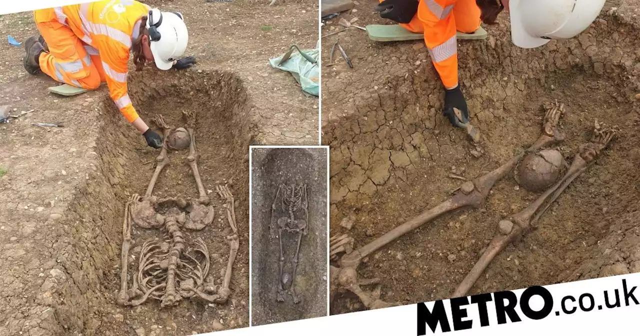 Dozens of beheaded bodies among 425 Roman skeletons found on HS2 route