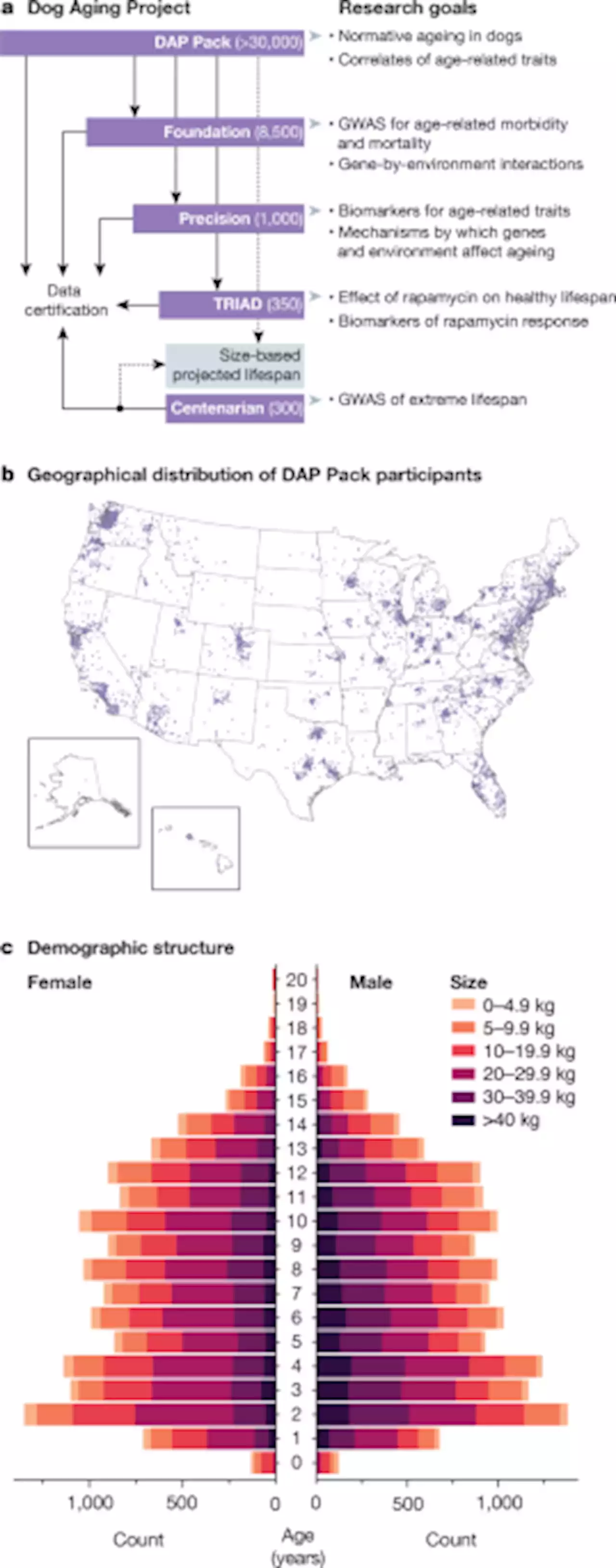 An open science study of ageing in companion dogs - Nature