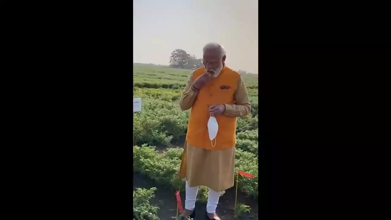 PM नरेंद्र मोदी हैदराबाद में ICRISAT फार्म में खाए 'चना'