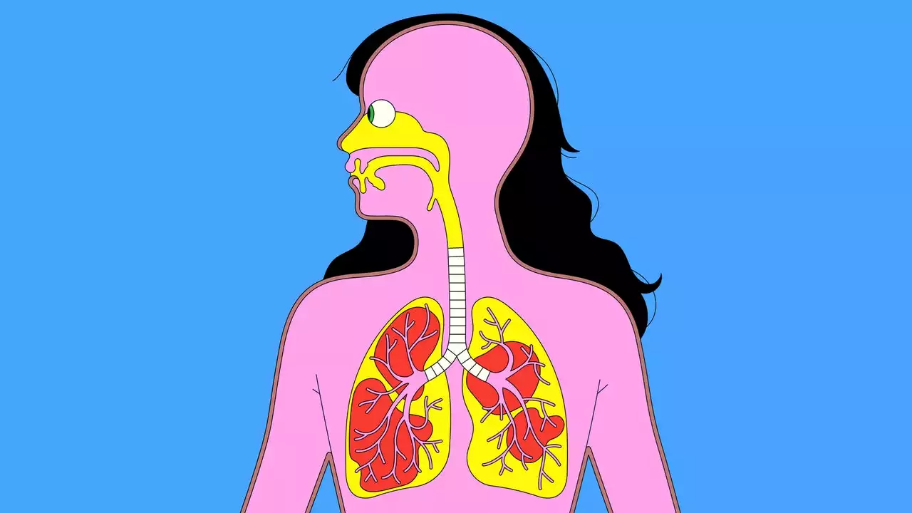 From Bats to Human Lungs, the Evolution of a Coronavirus