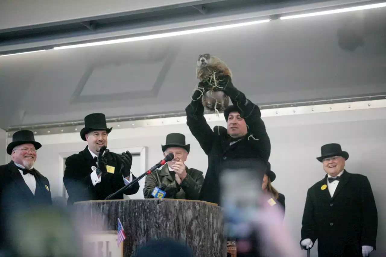 What New Jersey’s prognosticating groundhogs really tell us | Letter from your editor