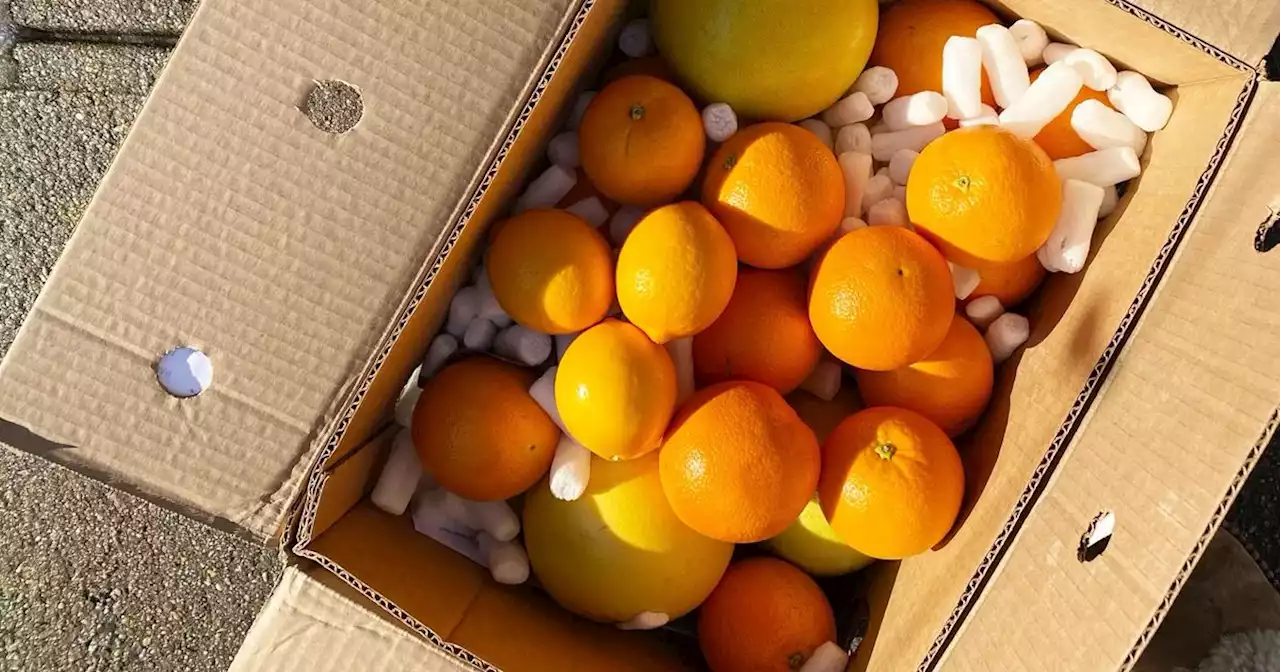 A 5-Pound Box of California Citrus Cures My East Coast Winter Blues