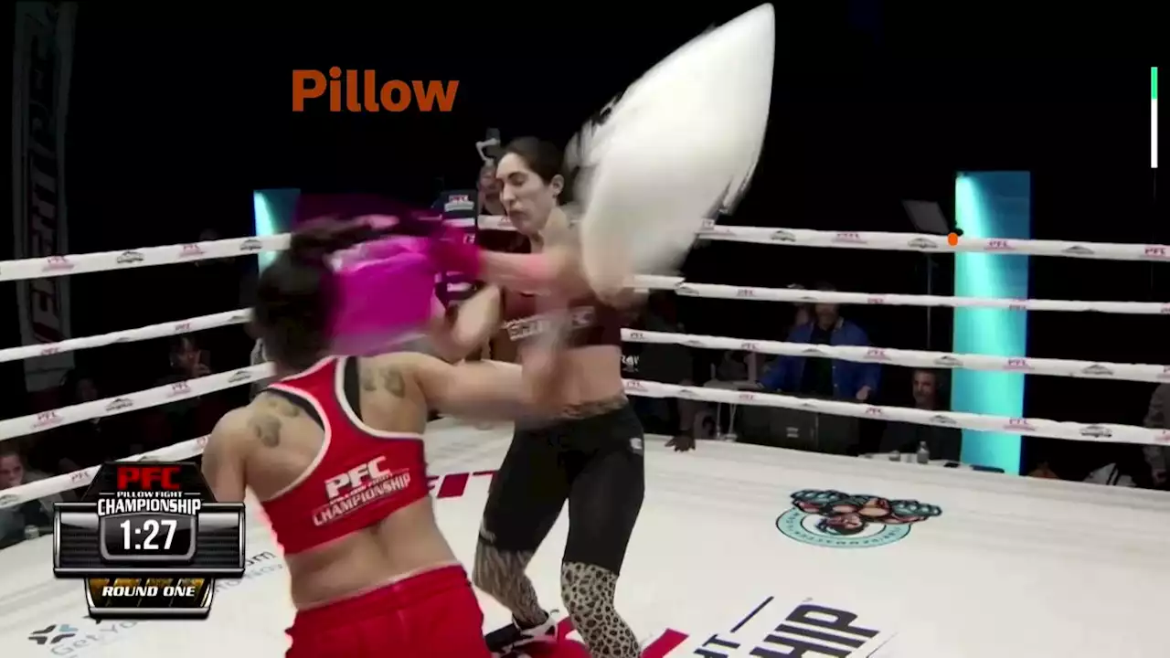 'Don't get caught napping' - pillow fighting enters combat sports arena