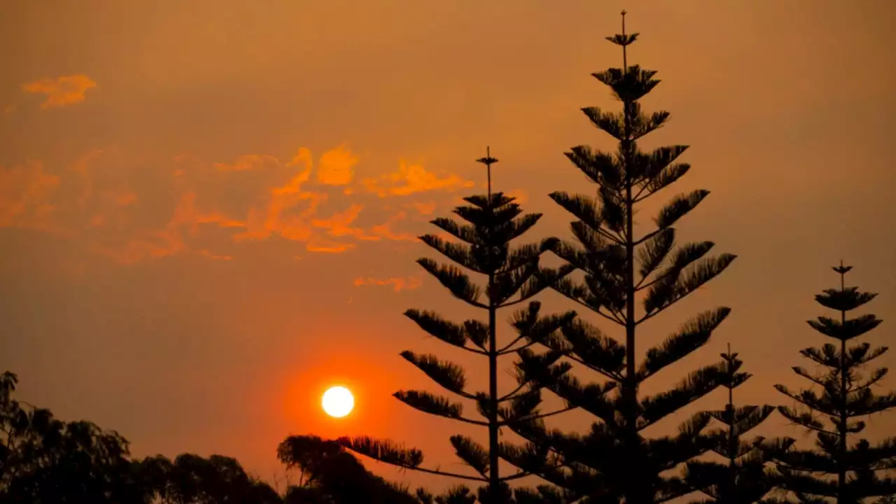 Bushfire emergency evacuation warning issued for the Shire of Denmark in Western Australia