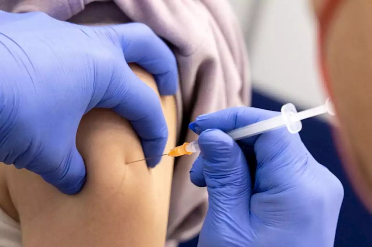 Compulsory Covid-19 vaccination rules come into force in Austria