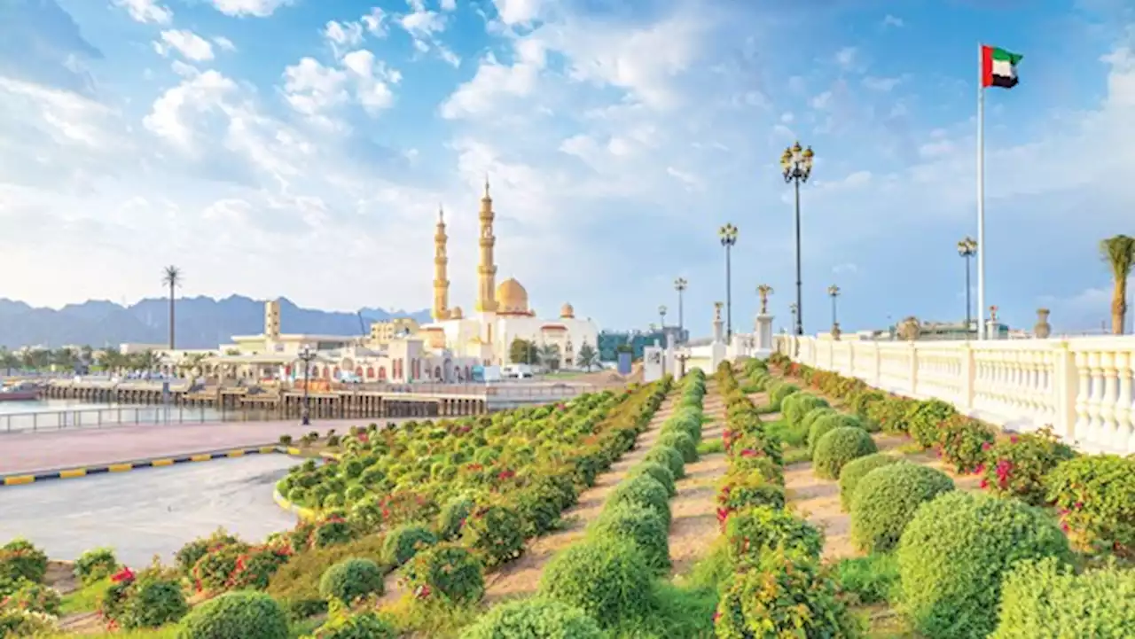 7 آلاف متر مربع من المسطحات الخضراء في دبا الحصن