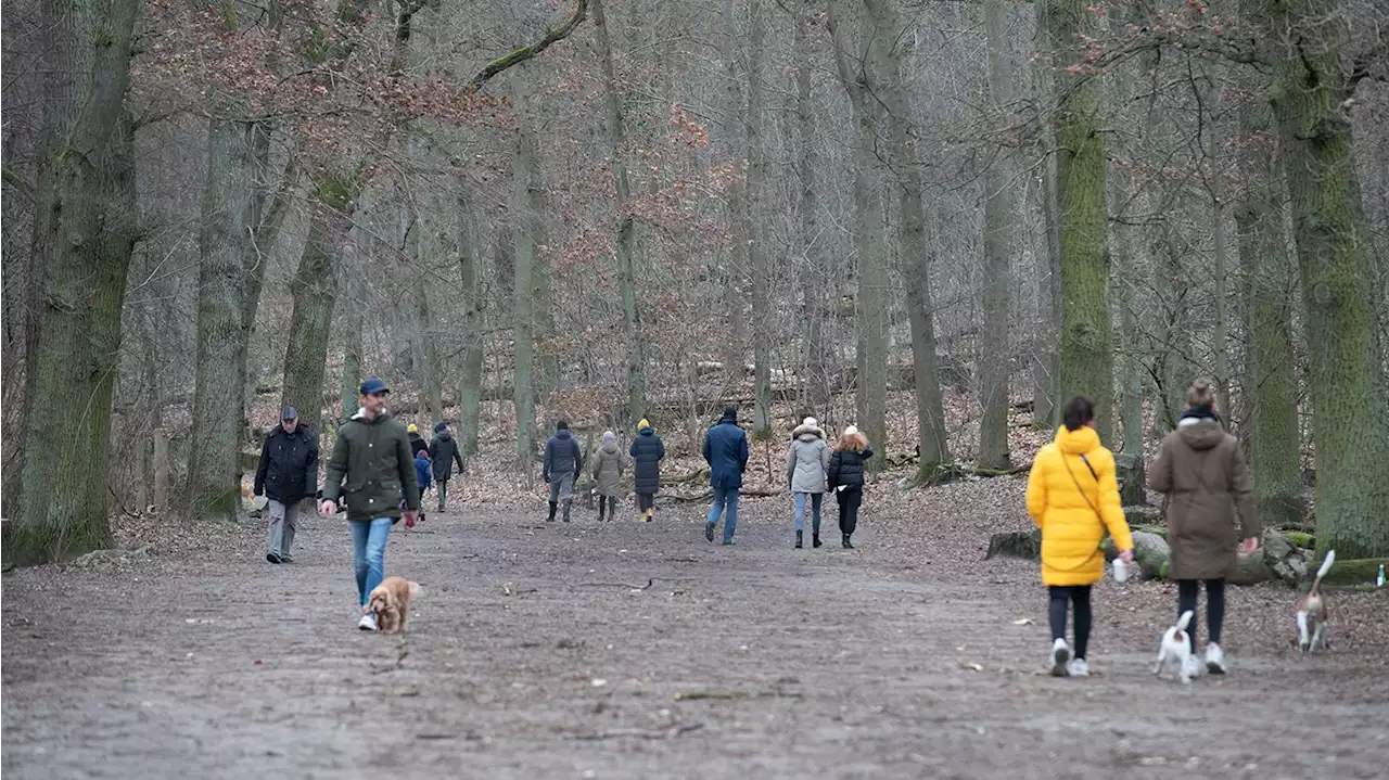 Single-Hauptstadt Berlin – beziehungsunfähig oder glücklich allein?