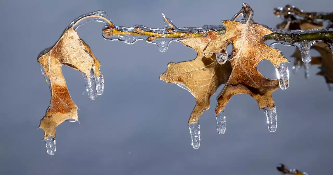 North Texas continues to thaw following winter storm; warmup expected this week