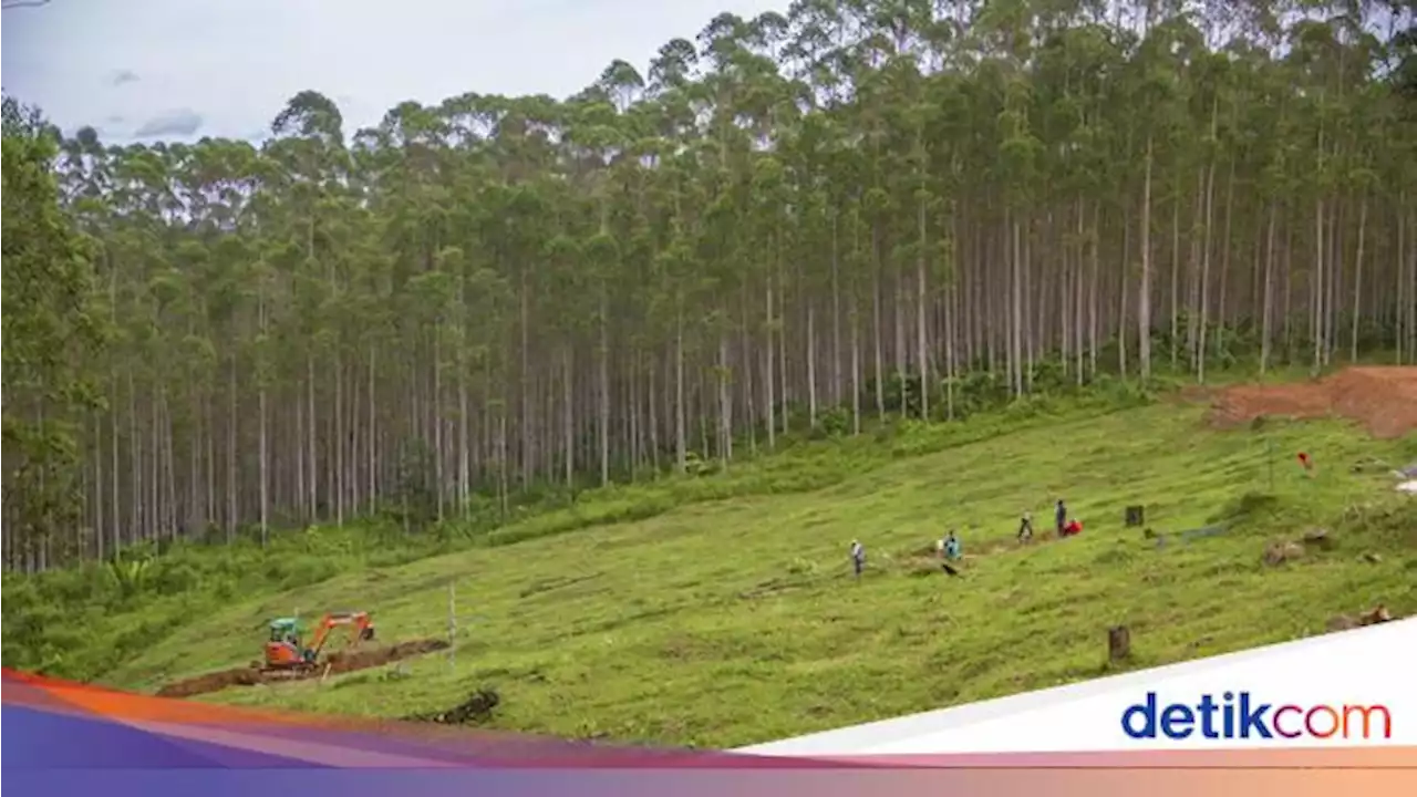 Penampakan Lokasi Berkemah Jokowi di Titik Nol IKN Nusantara