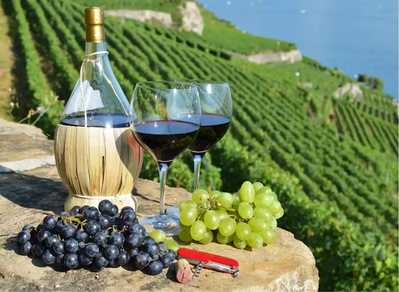 This Country Makes the Best Wine in the World, Says New Data — Eat This Not That