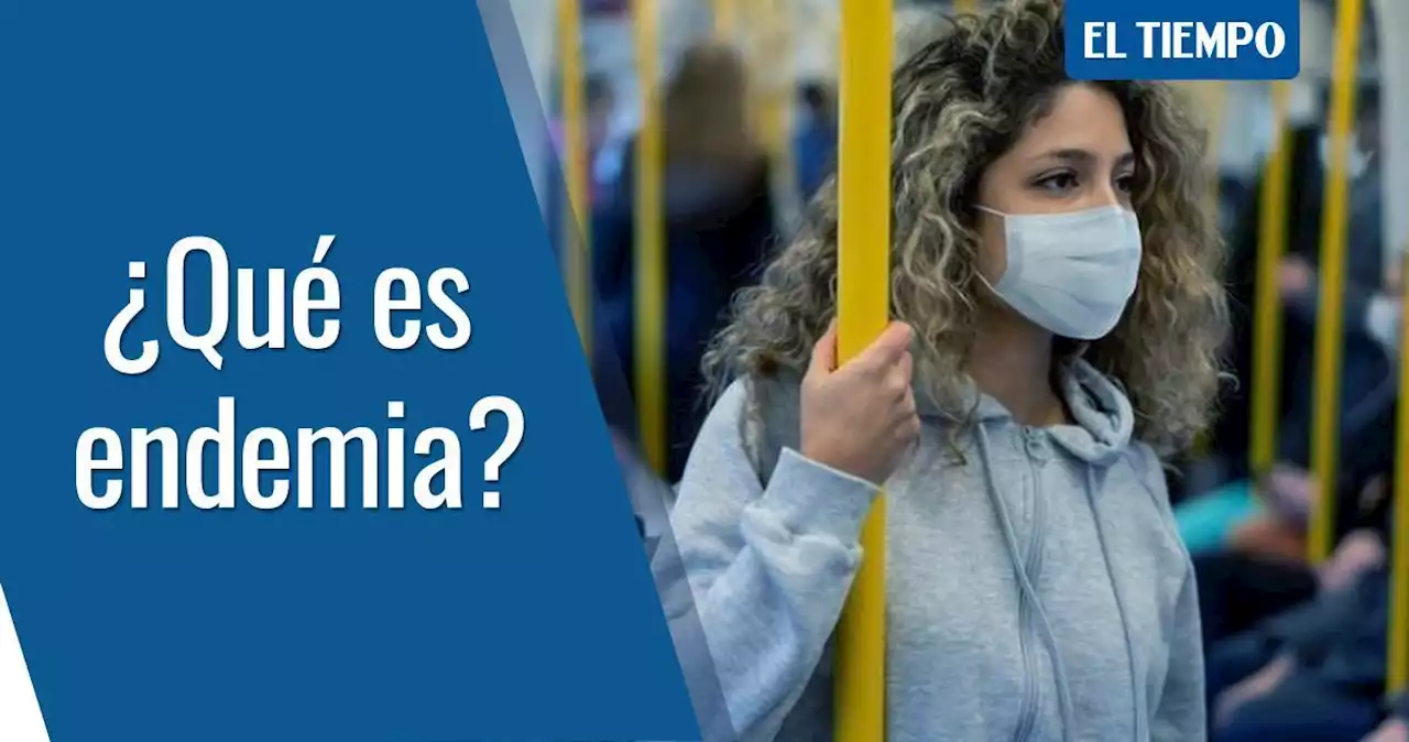 Endemia: en qué se diferencia de la pandemia y cómo se llega a esta etapa