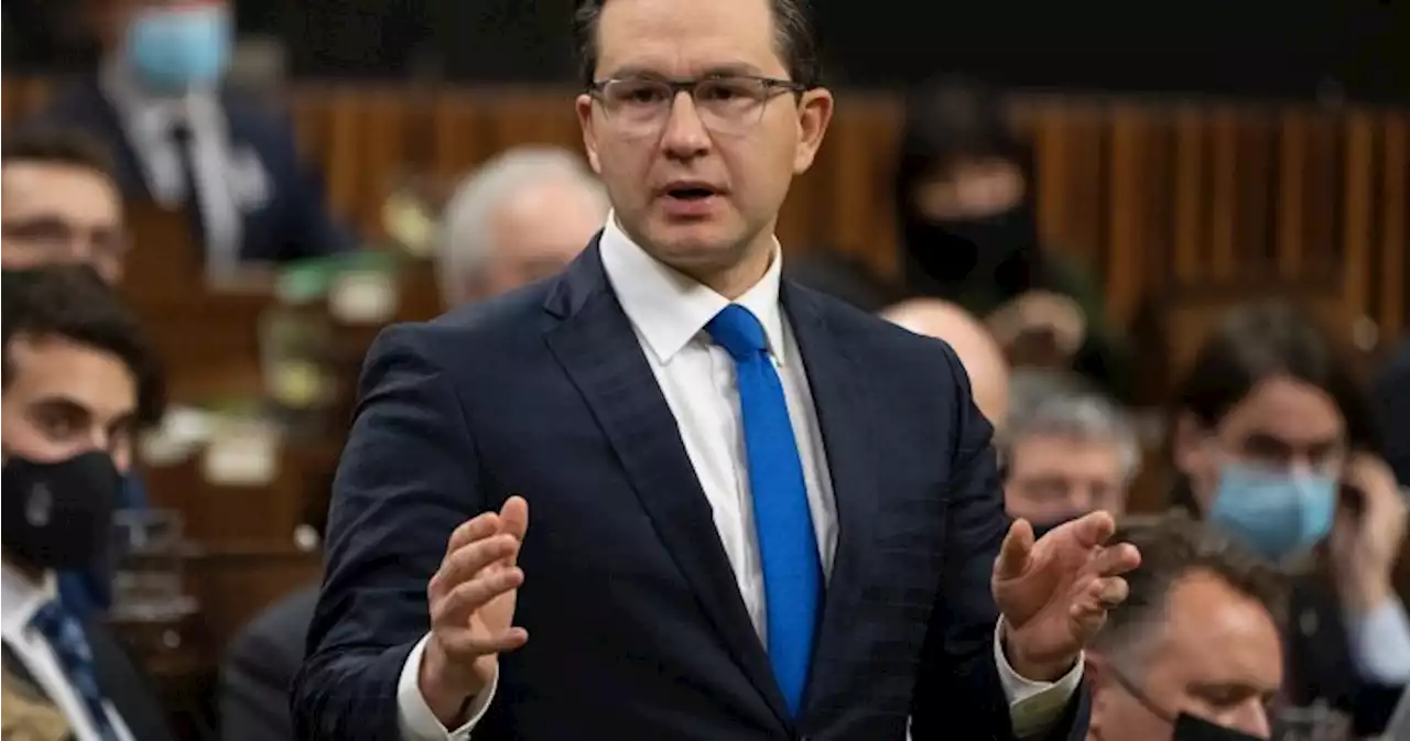 Conservative MP Pierre Poilievre says he is running for prime minister - National | Globalnews.ca