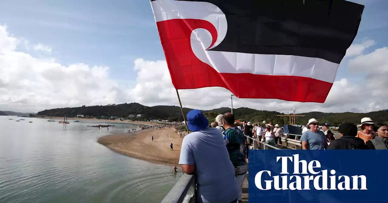 ‘Like a forest without birdsong’: Waitangi Day becomes more reflective as Covid takes toll