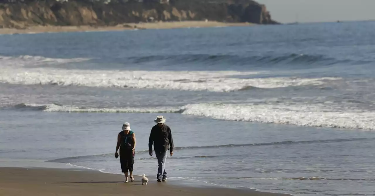 Santa Ana winds trigger high wind warning in Southern California mountains and valleys