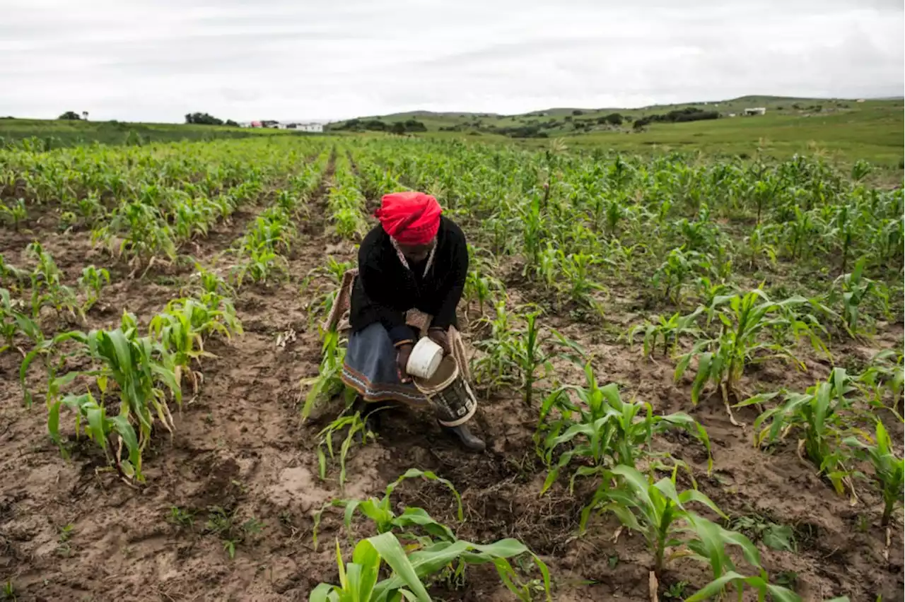 Redistribution of land remains a man’s world in South Africa