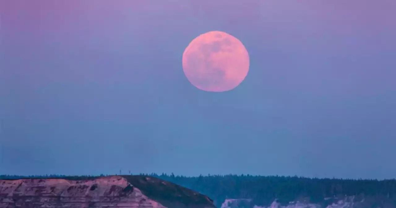 What The Pink Moon Is All About & How To Work With Its Energy