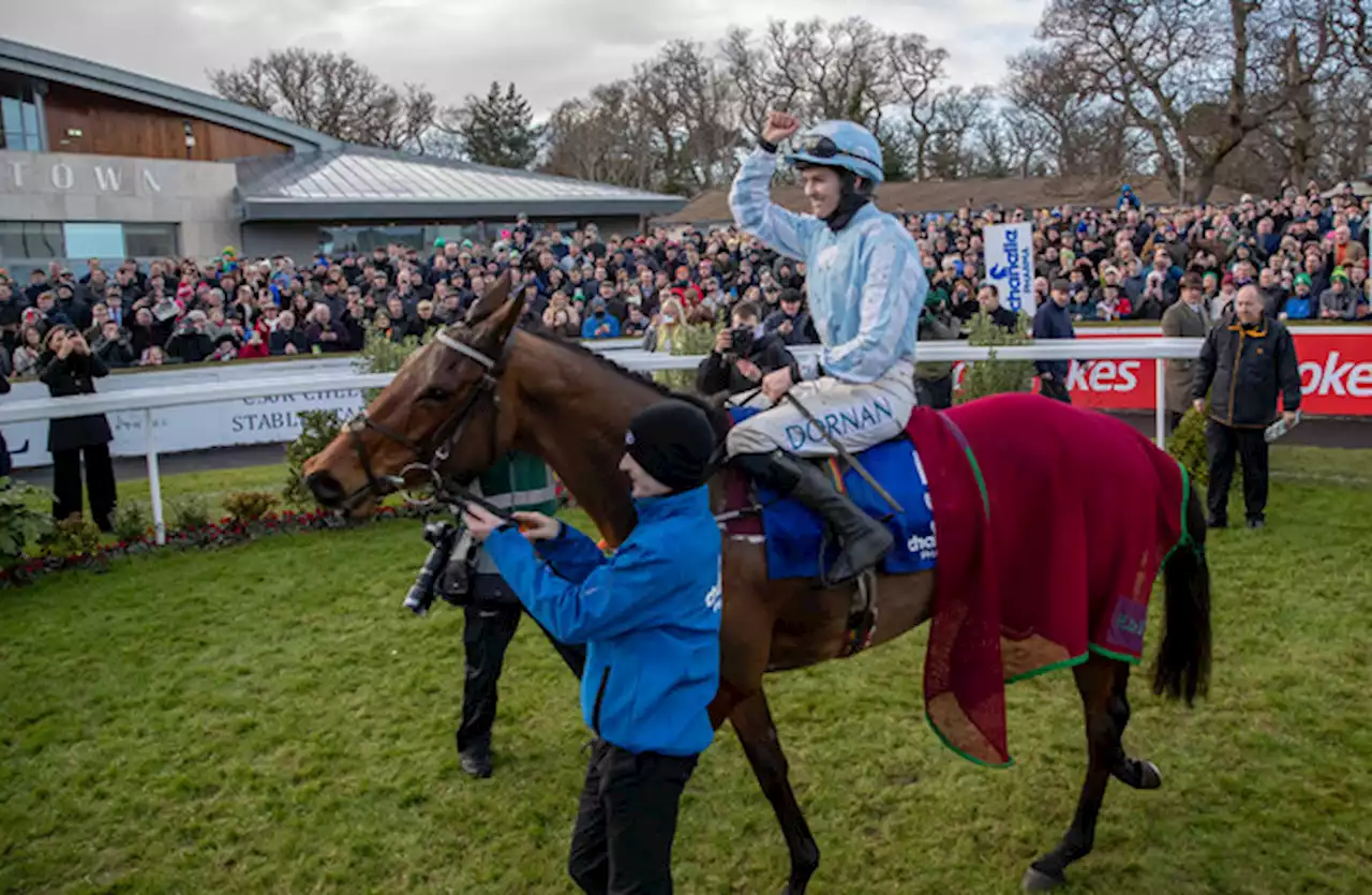 Johnny Ward: Honeysuckle shows there are still horses with star power