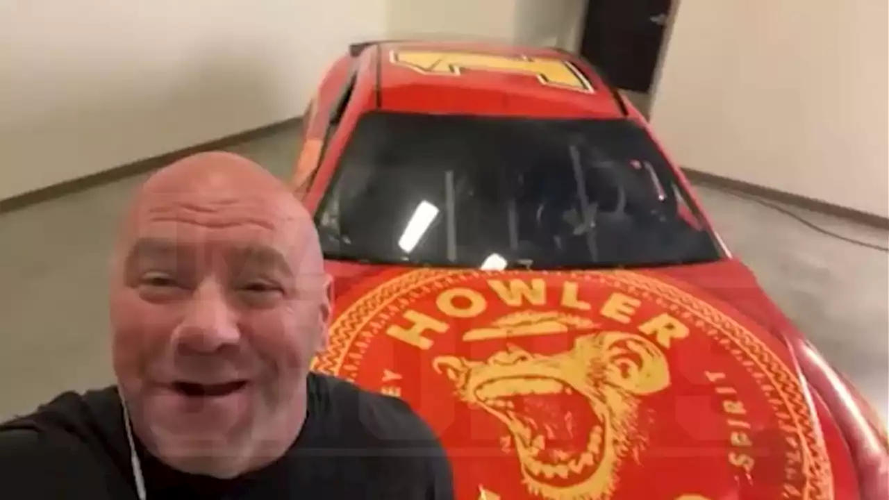 Dana White Sponsors NASCAR Stock Car, Betting Up To $25K On Race