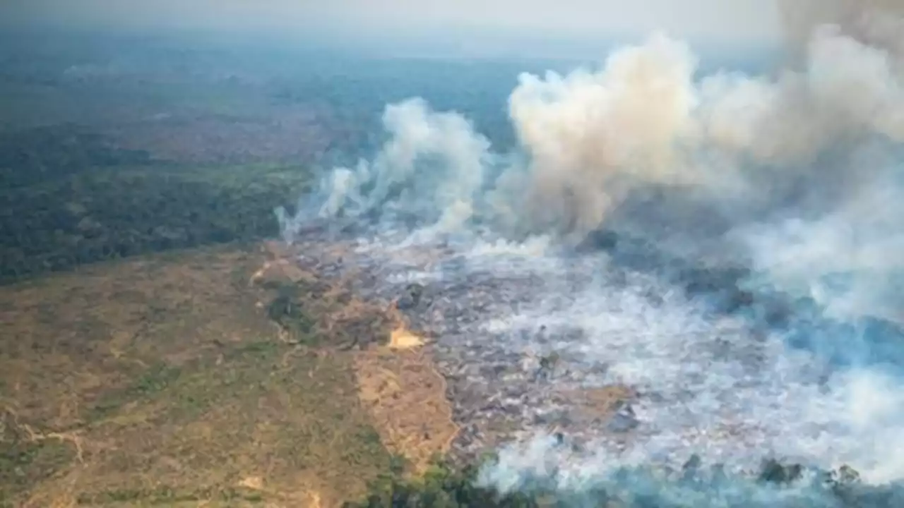 Colombian capital issues environmental alert due to Amazon fires